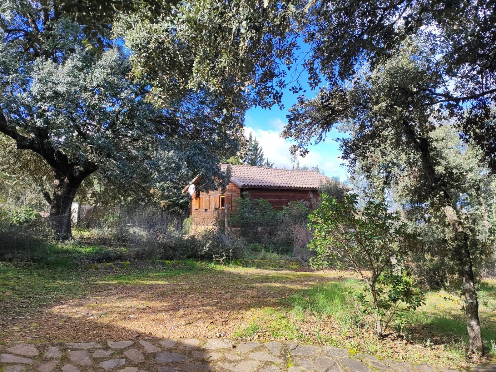 Nuevo Ecolodge Cabaneros Retuerta de Bullaque Esterno foto