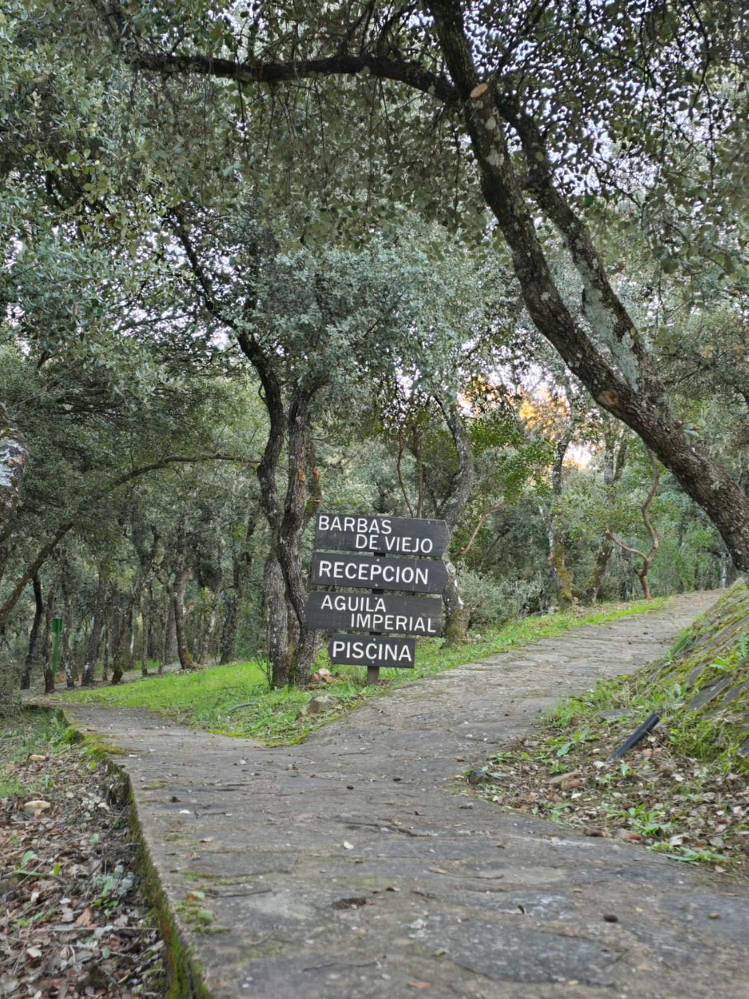 Nuevo Ecolodge Cabaneros Retuerta de Bullaque Esterno foto