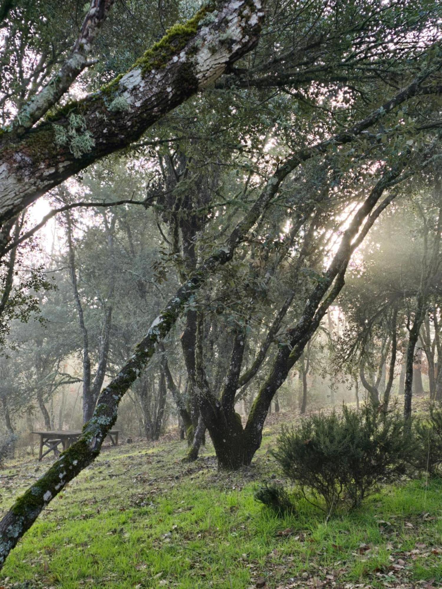 Nuevo Ecolodge Cabaneros Retuerta de Bullaque Esterno foto