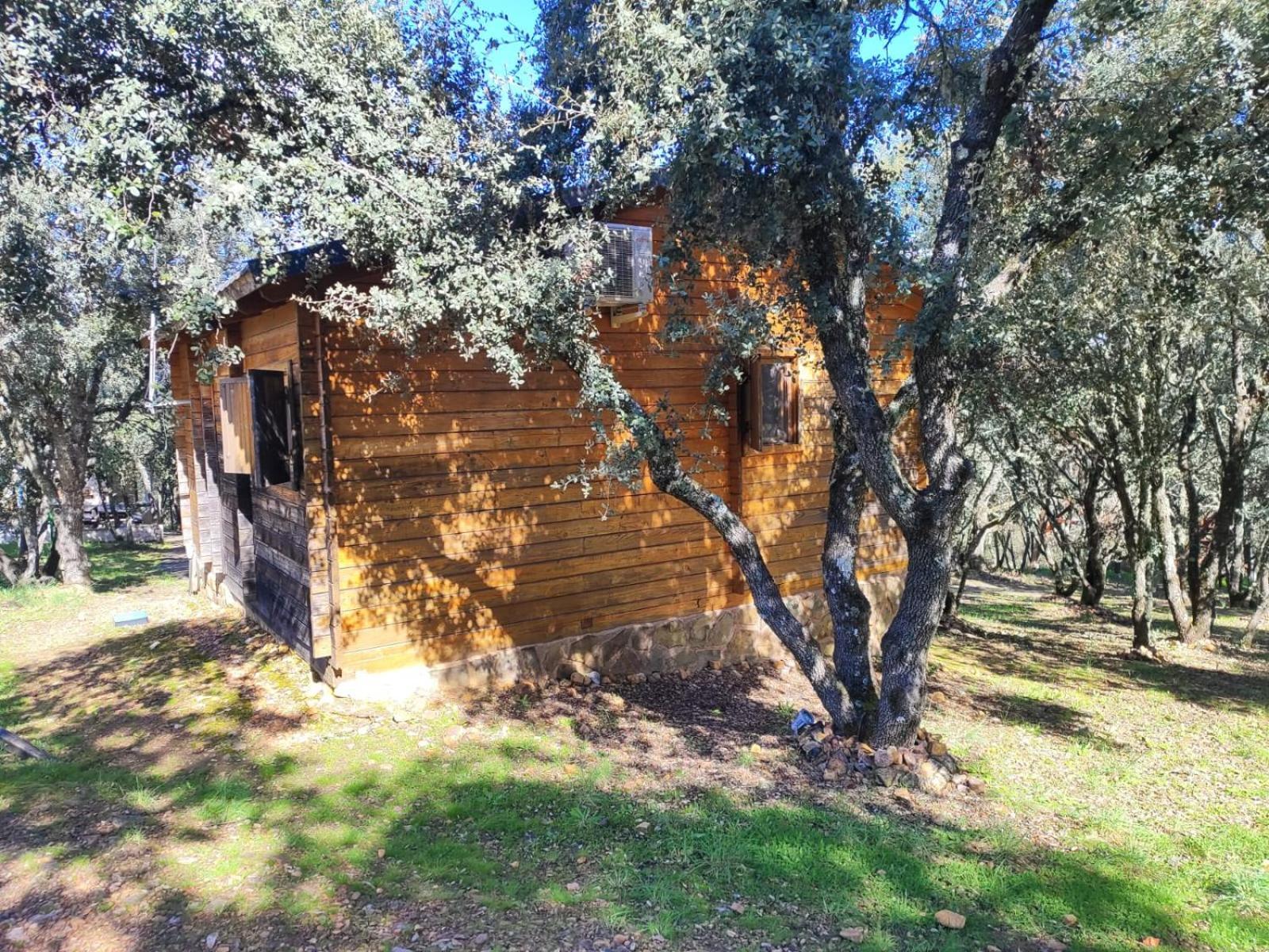 Nuevo Ecolodge Cabaneros Retuerta de Bullaque Esterno foto